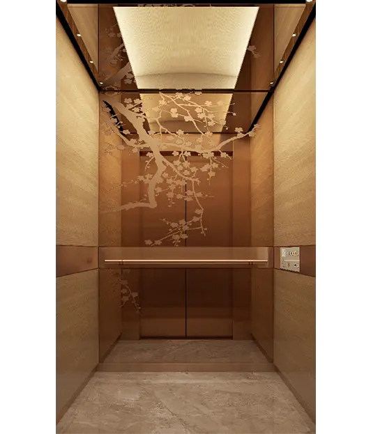 Stylish rose gold home elevator with a prominent glass wall, designed for a sophisticated villa interior.