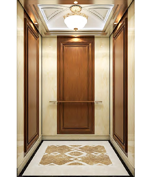 Sandblasted Stainless Steel Plated Passenger Elevator