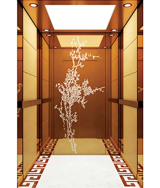 Wood Grain Stainless Steel Framed Passenger Elevator.
