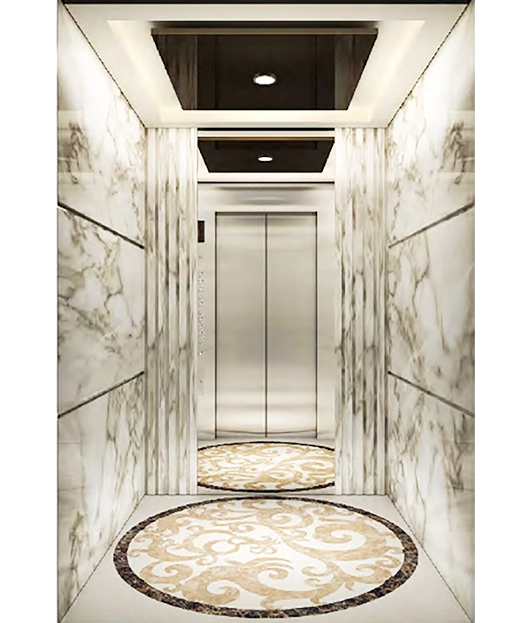 Dali Groove Pattern Designed Passenger Elevator.