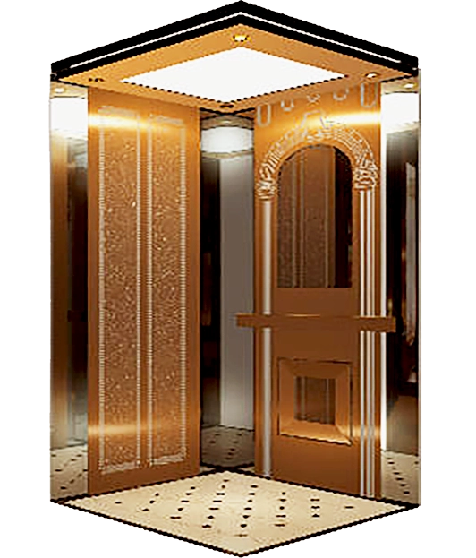 Woven Pattern Designed Passenger Elevator