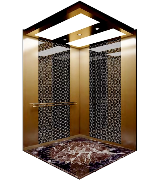 HAYASHIMU Titanium Gold Mirror Framed Passenger Elevator.