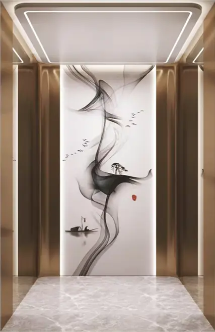 HAYASHIMU Premium Passenger Elevator