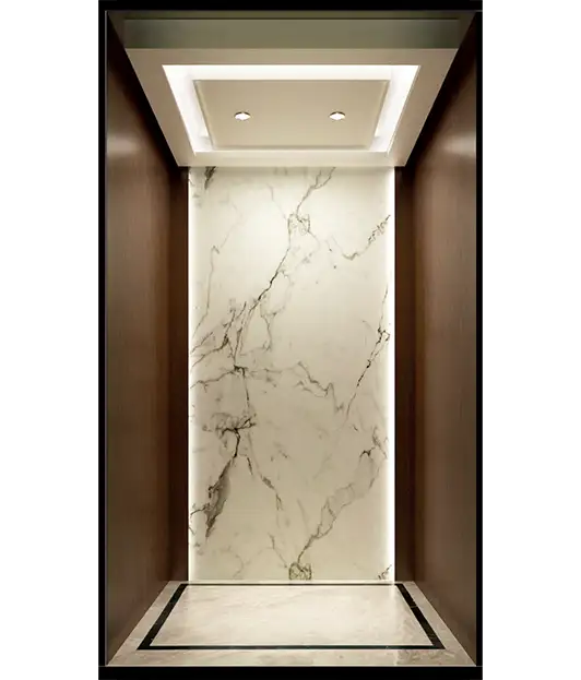 Custom Villa Elevator Systems | High Weight Capacity & ADA-Compliant Design