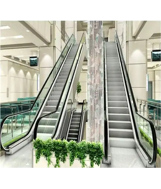 High-Quality Escalators for Commercial Buildings.