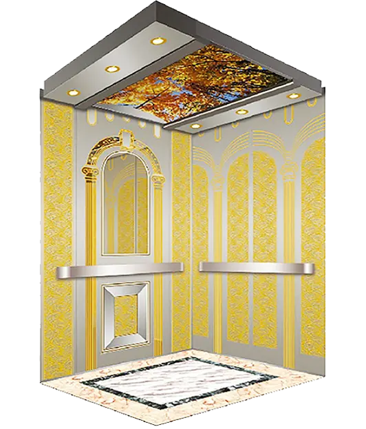 A Royal Designed Passenger Elevator.
